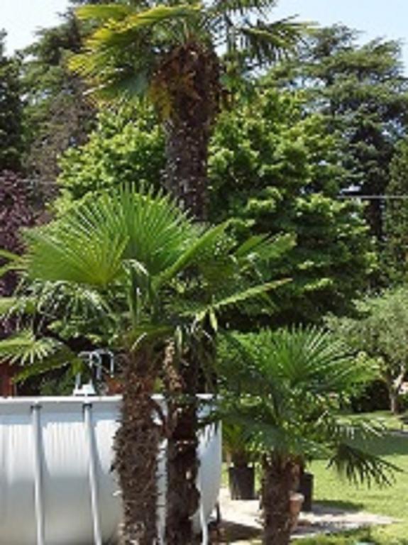 Relais Villa Lezard Lazise Pokój zdjęcie